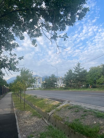 A perspective shot looks down a tree-lined sidewalk next to a street in Almaty, Kazakhstan. The sky is blue and dotted with small clouds. A large tree with dark green leaves overhangs the top of the frame. The sidewalk is made of grey concrete, and there are small trees lining the edge of the street. A ditch with concrete borders runs along the side of the road, filled with grass and gravel. In the background, there are modern buildings and pine trees, with mountains visible in the distance. The scene is tranquil and depicts a quiet street in the city.