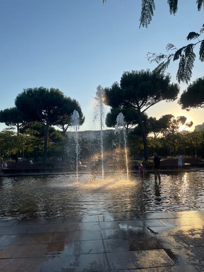 The image depicts a public fountain area with several people, including children, playing in the water. Tall, dark green pine trees are visible in the background, with a clear blue sky above. The sun is setting, casting a warm glow on the water and the surrounding area. The ground around the fountain is paved with dark tiles, which are wet from the splashing water. There is a building visible in the far background. The scene appears to be a park or recreational area.

Based on the visual cues in the image, this scene is likely located in the city of Krasnodar, Russia, possibly in a park like Park "Olimpiyskiy" or a similar public space known for its fountains and green areas.