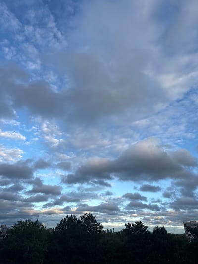 The image shows a cloudy sky above a silhouetted treeline in what appears to be a city. The clouds are varied, with some appearing lighter and scattered while others are darker and more dense. Hints of blue sky can be seen through gaps in the clouds. Below the sky, a dark line of trees stretches across the lower portion of the frame, with some buildings and a distant cityscape visible behind them, suggesting an urban environment. One prominent building with a spire-like structure is partially visible above the trees. The overall lighting suggests it is either early morning or late evening. The image is a still photograph with no discernible actions or people.