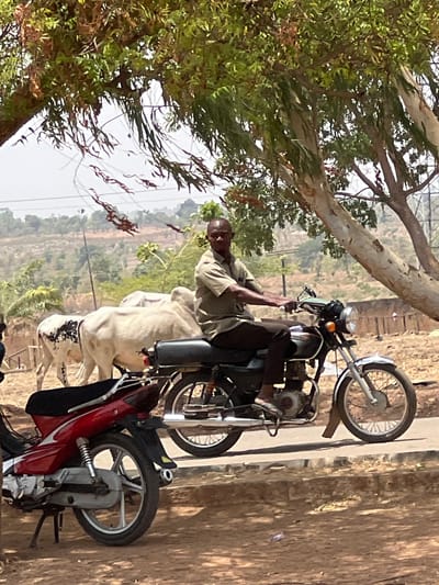A man sits astride a motorcycle in an outdoor setting. He wears a light-colored shirt and dark pants. Two cows stand in front of the motorcycle. Another motorcycle is visible near the first motorcycle. Trees and shrubs fill the background landscape. The image was taken in the city of Minna, Nigeria.