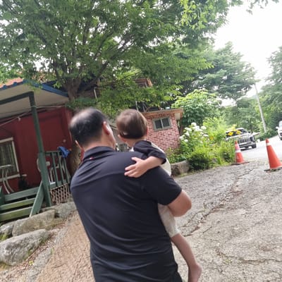 The image shows a person carrying a toddler in a wooded, outdoor setting, likely in the vicinity of a residential area or park. The main subject is a person in a black shirt, seen from behind, carrying a toddler who is wearing a white and black top. The toddler is being held on the person's left hip, with their right arm around the person's neck.
In the background, there is a red building with a blue trim and a white roof, with a green railing and steps leading up to it. A tree with green leaves is prominent in the foreground, partially obscuring the building. Further in the background, a brick building with a small window is visible.
The ground is a cracked asphalt or concrete surface with some gravel and fallen leaves. To the right, there are several orange traffic cones and lush green bushes with white flowers. Beyond the cones and bushes, a dark-colored SUV is parked on what appears to be a road. The overall environment suggests a somewhat rural or suburban location with abundant vegetation.
It is not possible to definitively determine the location as Mureungdowon-myeon, South Korea, based solely on the visual information provided in the image.