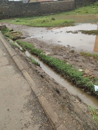 This image, located in Juja ward, Kenya, depicts an outdoor scene dominated by a semi-paved road, drainage infrastructure, and an unkempt field. The foreground features a worn, grey asphalt road on the left, bordered by a concrete curb. Parallel to the curb, a concrete drainage ditch runs horizontally across the mid-ground, containing murky brown water and lined with green grass and small weeds along its edges. Beyond the ditch to the right, a large expanse of muddy earth is visible, characterized by numerous standing puddles of varying sizes, sparse patches of green grass, and scattered refuse including white plastic debris. A small, dark bird-like creature is present in the center-right within one of the larger puddles. In the background, a low, weathered grey stone or concrete block wall stretches horizontally, topped by a reddish-brown, possibly corrugated iron, structure. Distant, indistinct buildings are faintly visible beyond the wall. The sky is overcast, contributing to a muted light. No human subjects or discernible human activity are present.