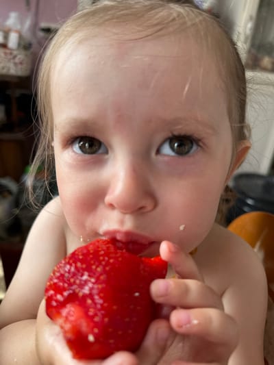 A close-up, eye-level shot shows a young child, likely female due to the presence of blonde hair, holding a large, ripe strawberry to her mouth. The child's face is the primary focus, with her dark brown eyes looking directly into the camera. Her lips are slightly parted, with a small amount of white residue visible on her cheek, suggesting she has been eating. The strawberry is bright red and appears juicy, with visible seeds. The child's hands are holding the strawberry, with one hand supporting the bottom and the other near her mouth. Her shoulders and upper chest are bare. The background is softly blurred, with hints of household objects, suggesting an indoor setting, possibly a kitchen or dining area, in Yaroslavka, Russia. The lighting is natural, illuminating the child's face and the strawberry.
