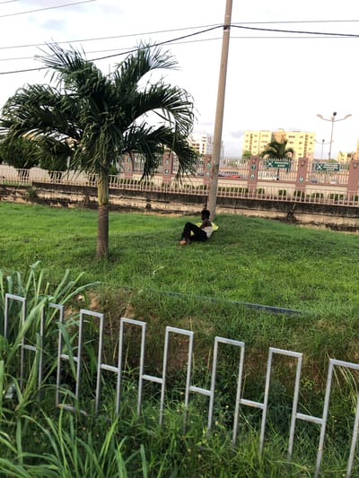 A daytime, outdoor scene in Alaguntan, Nigeria, features a grassy area bounded by a low, concrete and metal fence along a row of buildings. A single palm tree stands to the left of the frame. A utility pole rises behind the tree. A person wearing light-colored clothing is seated on the grass near the fence. A metal fence is in the foreground, partially obscured by tall grass. Numbers are displayed on the buildings.