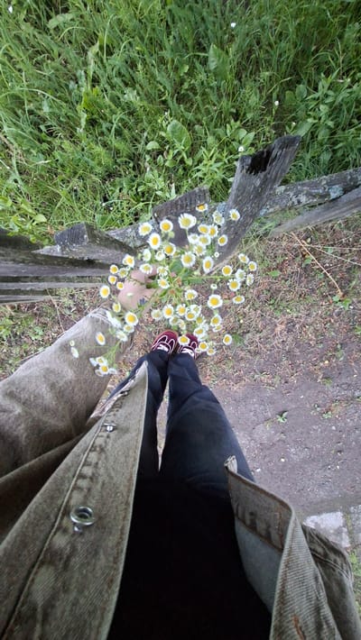 A first-person perspective shot shows a person holding a bouquet of small white daisies with yellow centers. The person is wearing a light brown denim jacket, dark pants, and maroon sneakers. The flowers are held in front of the person's body, with their hand and arm visible. The background consists of a weathered wooden fence, tall green grass, and a dirt path. The scene appears to be outdoors, possibly in a rural or park-like setting, given the natural elements and the rustic fence. There are no other individuals or specific landmarks that would identify a precise location within Забалоцкі сельскі Савет, Belarus.