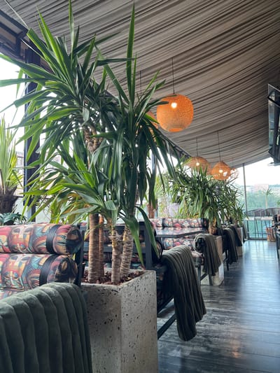 The image depicts an indoor space, likely a restaurant or lounge, in Yerevan, Armenia. The location features a row of seating arrangements with decorative plants placed behind the seating. Each plant is contained within a colorful patterned cylindrical pot. The seats are upholstered in a dark green ribbed fabric. The floor is dark-colored and appears to be made of wood. The ceiling is draped with a beige fabric, and several spherical woven light fixtures hang above. Outside the structure, other buildings and trees can be seen through the windows.