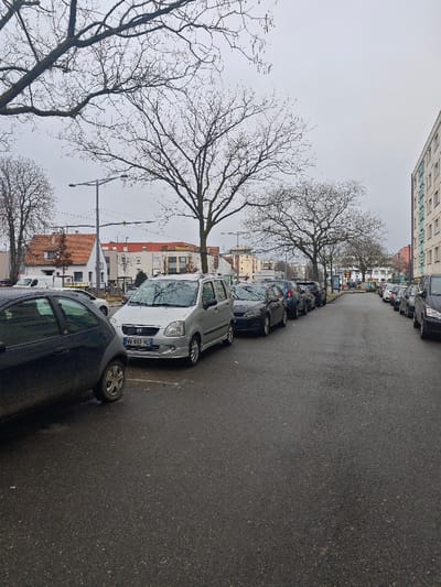 The image captures an urban street scene in Schiltigheim, France, under an overcast sky. The asphalt street, appearing damp, recedes into the distance, bordered on both sides by parked vehicles. In the immediate foreground on the left, a portion of a dark-colored hatchback is visible. Directly behind it, a silver Suzuki Wagon R compact MPV is parked, facing the viewer, displaying the French license plate "VV-837-VC." A continuous line of various parked cars extends down both the left and right sides of the street. Multiple tall deciduous trees with bare branches and visible catkins are spaced along the street, silhouetted against the light grey sky. Tall streetlights with horizontal arms are present throughout the scene. In the background on the left, several buildings are visible, including traditional houses with orange-tiled roofs and more modern multi-story structures. A large, multi-story apartment building with numerous windows and light-colored facades lines the right side of the street. No individuals are present in the depicted environment.