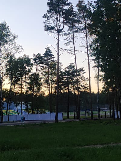 The image depicts an outdoor scene in Svietlahorsk, Belarus, featuring a grassy area in the foreground and a street or pathway behind it. A white fence separates the pathway from what appears to be a sports facility or park area, visible through a black metal fence with gates. Tall trees, including pines and birches, are prominent throughout the scene, with some silhouetted against the sky. In the middle ground, two individuals are walking on the pathway, facing towards the left of the frame. The sky is a pale blue, transitioning to a soft yellow-orange hue near the horizon, suggesting either sunrise or sunset.