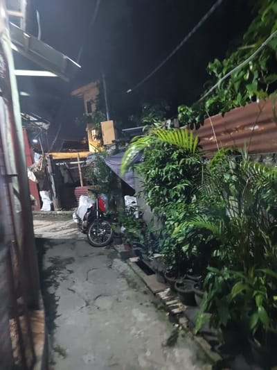 The image depicts an outdoor alleyway at night in a residential area of Davao City, Philippines. A motorcycle, partially covered by a white tarp, is parked on a concrete pathway. The pathway is cracked and appears wet in places. Lush green foliage, including potted plants and what appears to be a fern, lines the right side of the alley. Behind the plants, a corrugated metal fence is visible. In the background, structures with visible windows and a roof made of what appears to be corrugated metal can be seen. The scene is dimly lit, suggesting artificial lighting is present but not directly visible. There are no people or animals visible in the image.