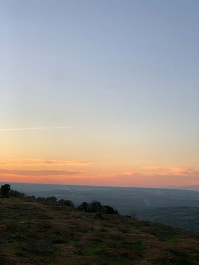 The image displays a serene landscape scene, oriented vertically, that appears to be a horizontally captured view rotated 90 degrees counter-clockwise.
The upper portion (left side in its current orientation) is dominated by the sky, which transitions in color from a soft, light blue at the far upper left to a warm, pale yellow and then to shades of soft orange and pink closer to the horizon line, indicating either sunrise or sunset. Several diffused, soft-edged clouds are visible within the orange and pink hues of the sky. A long, thin, white contrail stretches horizontally across the sky, slightly above the warmer colors. A faint, dark, circular smudge is noticeable in the lighter blue area of the sky, possibly a lens artifact or sensor dust.
The middle section of the image, running vertically down the center, forms the horizon. Below the colorful sky, layers of distant hills or mountains are visible. These recede into the distance, appearing in muted, hazy shades of bluish-grey and pale green, demonstrating atmospheric perspective. The terrain seems rugged, and a valley or broader landmass is suggested between the foreground and the furthest hills.
The lower portion (right side in its current orientation) depicts a steep, grassy hillside in the foreground. The ground is covered with a mix of dry, brownish grass, some patches of greener vegetation, and visible earthy tones. Scattered dark green bushes and small trees are interspersed across this slope, particularly along the edge that meets the distant landscape. The foreground appears to be an elevated vantage point, looking out over the valley and distant mountains.
The overall lighting is soft and warm, characteristic of the golden hour during either sunrise or sunset. No specific activity or event is taking place; it is a tranquil depiction of a natural landscape. There is no visible text in the image.