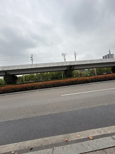The image displays an elevated railway overpass on an overcast day in Jiangjin, China. In the immediate foreground, a grey asphalt road is visible, marked with a solid white line at its edge and a dashed white line indicating a lane division. A grey concrete curb separates the road from a sidewalk where a few fallen leaves are scattered. Parallel to the road, a neatly trimmed hedge with reddish-green foliage runs along the base of the overpass structure. Dark green vegetation, consistent with vines, is observed growing on several concrete support pillars of the overpass. Above the main overpass structure, a railway line with an overhead catenary system, including power lines and support poles, is present. In the far background, a multi-story residential or commercial building is partially visible on the right, rising above the overpass. No individuals, vehicles, or dynamic actions are depicted in the scene.