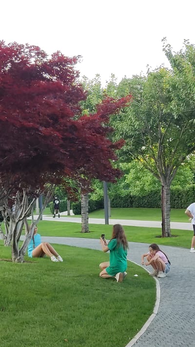 In a park, possibly in Krasnodar, Russia, a woman in a turquoise outfit sits on the grass with her legs extended. A woman in a green dress kneels and takes a photo of the woman on the grass with her phone. To the right, a young girl in a pink and white striped shirt and denim shorts squats. In the background, a person on rollerblades is visible on a paved path. The scene is set with trees, one with dark red leaves and another with green leaves, and a manicured lawn. The ground is covered in green grass and a paved pathway.