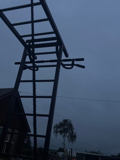 The image depicts an outdoor scene in a somewhat overcast and gloomy atmosphere, likely at dusk or on a heavily clouded day. The perspective is from below, looking upwards at a dark, angular structure that appears to be part of a playground or an outdoor gym. This structure is made of dark metal and has a ladder-like design with horizontal bars. A thin, dark rope is stretched across the foreground, obscuring some of the structure.

In the background, a solitary tree with sparse foliage is visible, leaning to one side as if shaped by the wind. To the right, the dark roof of a wooden house is partially visible, along with some hanging flower baskets with purple flowers. The overall mood is somber and slightly melancholic, enhanced by the muted color palette and the low light conditions. There is no discernible text in the image. The setting appears to be a residential area in a rural or suburban location, possibly in Новый Быт, Russia, given the provided location context. The activity taking place is not evident, as the scene is static and devoid of human presence or clear action.