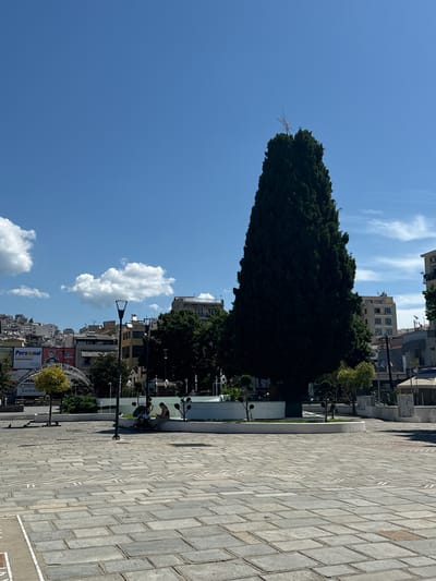 In Kavala, Greece, a tall, conical evergreen tree with a cross at its apex dominates the center of a public square. The square is paved with large, gray rectangular stones arranged in a grid pattern, with a decorative white inlaid pattern in the foreground. The background features a cityscape with buildings of varying heights, some of which appear to be apartments and businesses, under a clear blue sky with scattered white clouds.
In the middle ground, a circular white fountain structure is partially visible, surrounded by manicured bushes and small trees. A few people are seated near the fountain, including a woman sitting on the edge of the fountain with a baby stroller next to her. To the left of the fountain, a lamppost with a modern design stands tall. Behind the fountain, more greenery and buildings are visible.
To the left of the frame, a large billboard with an advertisement featuring the word "Personal" and a man's face is prominently displayed. Further left, a cluster of buildings rises on a hillside. The overall scene depicts a bright, sunny day in an urban public space.