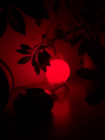 A red-hued indoor scene features a glowing, spherical lamp reminiscent of the moon, mounted on a wooden stand. Silhouetted foliage obscures parts of the lamp and creates depth, while a dark, spherical object sits nearby. The lighting is dim, with the red lamp being the primary light source. The overall composition has a dramatic and slightly surreal atmosphere.