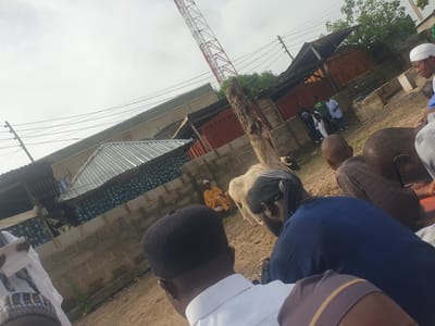 The image shows a gathering of people in Zango-ndaji, Nigeria. The people are dressed in a variety of clothing, some wearing traditional Muslim attire. A goat is present. In the background, there are buildings with corrugated metal roofs, a brick wall, and a communications tower. The sky is overcast.
