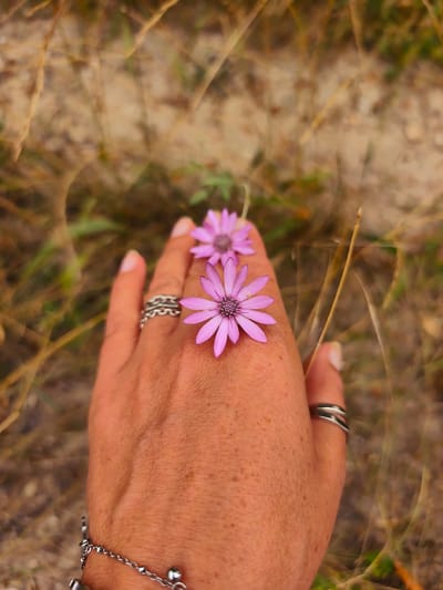 A close-up, vertical shot features a person's left hand with two small, purple flowers resting on the back of their hand and fingers. The hand, showing freckles and skin texture, is adorned with two silver rings on the ring finger and a silver bracelet on the wrist. One ring is intricate and chain-like, while the other is a simple band with dark accents. The background is a blurred natural scene, likely in Doibani 1, Moldova, with dry grasses and patches of earth. The lighting appears to be natural daylight, creating a soft focus on the surroundings and highlighting the subjects.