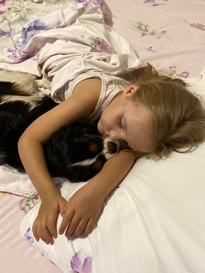 A young girl with blonde hair is sleeping in bed, cuddling a dog. The girl is wearing a white tank top with a pink trim and has a red mark on her left cheek. She is lying on her side with her eyes closed, and her head is resting on the dog. The dog is a tri-color Cavalier King Charles Spaniel, with black, white, and tan markings. It is also lying on its side, nestled against the girl, with its head tucked into her arms. The bedding is white and has a floral pattern with purple and pink flowers and green leaves. The scene appears to be indoors, likely a bedroom, given the bed and bedding. The lighting suggests it could be nighttime or a dimly lit room. The overall mood is one of peace and affection between the girl and her dog. The location context is Votkinsk, Russia. There is no visible text in the image.