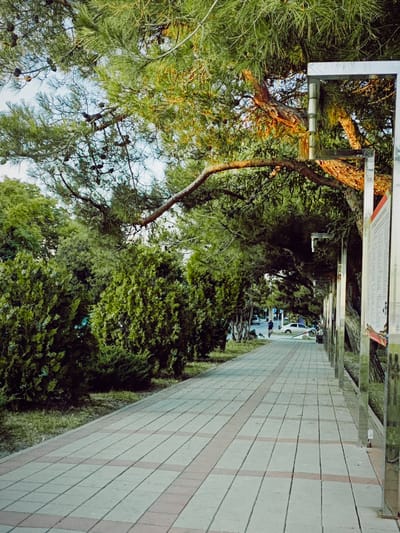 The image depicts a paved walkway lined with trees and bushes. On the right side of the walkway, there are several tall, reflective metal poles, possibly part of a fence or display structure, with information boards attached to them. The walkway is paved with rectangular tiles arranged in a pattern. A person is seen riding a bicycle in the distance on a road parallel to the walkway. There are cars parked on the side of the road. The environment appears to be an outdoor public space, possibly a park or a promenade, with dense green foliage from trees and bushes. The lighting suggests it is daytime. This scene is located on a promenade in Anapa, Russia, likely along the Black Sea coast, characterized by its trees and the presence of a walkway.