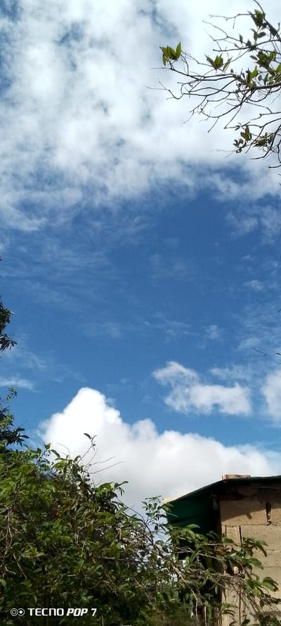 The image depicts a view of the sky with scattered clouds, framed by branches of a tree and the upper part of a building. In the foreground, lush green foliage from a tree is visible on the left side and partially obscuring the right side of the image. The building on the lower right appears to be constructed of concrete blocks and has a dark green roof. A branch of the tree extends into the upper right corner of the frame. The sky is a vibrant blue, with various types of clouds, including wispy cirrus clouds and larger, more defined cumulus clouds. The bottom left corner of the image contains the text "TECNO POP 7". The scene suggests an outdoor environment in Altagracia, Venezuela, under a partly cloudy sky. There are no people or animals visible in the image.