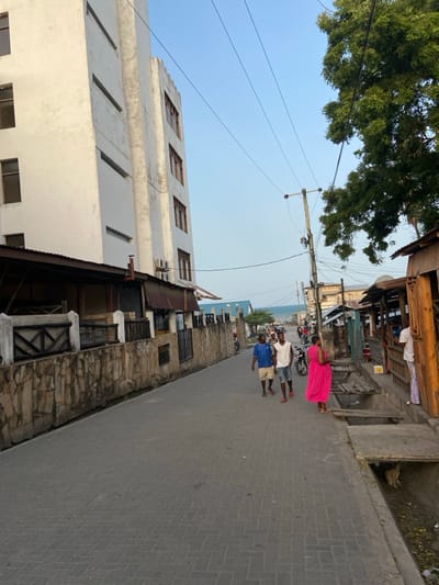 The image depicts a vibrant street scene in Bagamoyo, Tanzania. When viewed upright (the original image is rotated 90 degrees clockwise), a paved street made of gray interlocking bricks extends into the distance, leading towards a body of water, likely the Indian Ocean.
On the left side of the street, a multi-story building with a light-colored (possibly white) facade and horizontal window designs stands prominently. Its upper sections show some weathering. On the right, older, more traditional structures with stone or rough plaster walls and wooden accents line the road. These appear to be shops or residences, some with corrugated metal roofs.
Several people are visible in the middle ground of the street. Three men walk or stand together; one wears a white t-shirt and light shorts, another a blue t-shirt and light shorts, and the third a white t-shirt and darker shorts. They appear to be wearing sandals or are barefoot. Further down the street on the right, a woman in a bright pink dress stands near one of the buildings.
Overhead, a prominent wooden utility pole with multiple electrical wires crosses the frame. A large green tree with lush foliage is visible in the upper left corner against a clear, light blue sky. The distant background reveals the expansive blue ocean, with faint outlines of structures or boats along its shore. The soft lighting suggests it is daytime, possibly morning or late afternoon. No discernible text is visible.