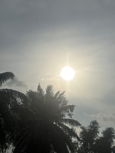 The image captures a low-angle view looking up at the sky, dominated by a bright, hazy sun. The sun appears as an octagonal shape with rays extending outwards, suggesting it's either mid-day or the sun is partially obscured by atmospheric conditions. Wispy clouds are scattered across the sky, contributing to the hazy, overcast appearance.
Silhouetted against the bright sky are the dark fronds of palm trees and the dense foliage of other trees. The palm fronds are sharp and distinct in some areas, while others appear blurred, possibly due to wind. The overall scene suggests a tropical or subtropical environment. The lighting is bright but diffused, indicating a possibly humid or smoggy day, common in many locations, including Amansee, Nigeria. There are no people or specific objects visible, the focus is entirely on the natural elements of the sky and the trees. The time of day is likely between late morning and mid-afternoon due to the sun's position and brightness. The weather appears to be warm and possibly humid, with the sun struggling to break through the haze.