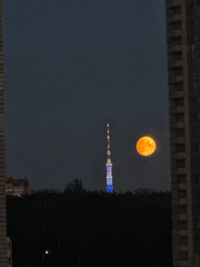 An orange full moon hangs in a dark sky, positioned to the right of a tall, illuminated television tower. The tower is lit with blue and white lights. On the left side of the image, the edge of a building is visible, and on the right, a tall, light-colored apartment building occupies the right side of the frame. Below the tower and moon, a dark silhouette of trees stretches across the middle ground. In the distance, at the base of the trees on the left, a building with red and white sections is visible. In the foreground, the dark edges of two buildings frame the scene, suggesting a view from a window or between structures. The overall impression is a nighttime city landscape.