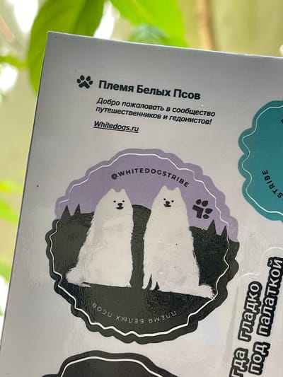 The image shows a close-up of a sticker with text and illustrations on a light-colored surface. The sticker features a dark, wavy border enclosing two white dogs with dark markings, possibly Samoyeds, sitting side-by-side. One dog has two small dots representing eyes, and the other has its face turned away. Above the dogs, a paw print is visible. The sticker also includes text in Russian.
To the left of the dog illustration, there is text that reads "Племя Белых Псов" (Tribe of White Dogs), followed by "Добро пожаловать в сообщество путешественников и гедонистов!" (Welcome to the community of travelers and hedonists!). Below this, a website address is written: "Whitedogs.ru".
In the upper right corner, there is another sticker with Russian text, appearing to be upside down relative to the main sticker. The text reads "гда гладко под палаткой" (when it's smooth under the tent). Further to the left, within a teal-colored, wavy-bordered circle, the word "STRIBE" is visible. Another snippet of text, "@WHITEDOGSTRIBE", is positioned to the left of the two dogs, within the purple wavy border. The overall impression is a collection of stickers related to a "White Dogs Tribe" community, possibly for dog owners who enjoy travel and a hedonistic lifestyle. The lighting suggests it is daytime, and the background hints at an outdoor, possibly green, environment.