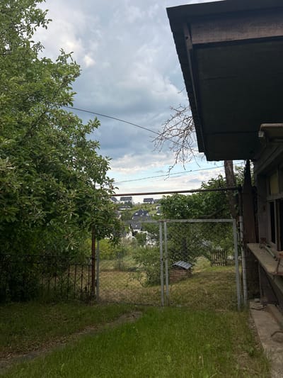 This image captures an outdoor residential scene in Gryfino, Poland, viewed from what appears to be a private property. The sky is largely overcast, featuring a mix of grey and white clouds with some brighter patches.

In the immediate foreground, the ground is covered by green grass, with a visible worn dirt path. To the left, a dense deciduous tree, likely an apple tree, laden with numerous small, unripe green fruits, fills a significant portion of the frame. To the right, the weathered corner of a dark wooden structure, possibly a house or shed, is visible. This structure features a prominent, dark overhanging roof and a section of a dark-framed window. Beneath it, a concrete or stone ledge supports several loosely stacked wooden planks.

The midground is delineated by a metal mesh fence with rusty support posts, running horizontally across the scene. A section of this fence appears to function as a gate. Behind the mesh fence, a small, brick structure with a dark, sloped roof, possibly a well house, is situated slightly left of center. Further left, partially obscured by vegetation, is an older, decorative wrought-iron fence. A dark electrical or utility cable stretches diagonally from the upper left, originating from within the foliage of the apple tree, down towards the right side of the image. Additionally, a bare, skeletal tree branch extends into the upper-right midground.

In the background, a cluster of modern residential houses with light-colored facades and dark, gabled roofs (some appearing to have solar panels) are visible on a distant hillside. These houses are situated beneath a clearer strip of sky that is distinct from the dense cloud cover above.

No individuals are present in the scene, and no specific actions or interactions are depicted. The environment exhibits a contrast between the rustic, overgrown foreground and the contemporary residential development in the distance.