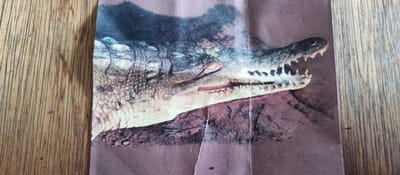 The image is a close-up photograph of a crocodile with its mouth open, revealing sharp teeth. The crocodile's textured skin is visible, with scales and bumps. The background is a muted reddish-brown color, possibly representing sand or rocky terrain. The image appears to be printed on paper, as indicated by creases and some wear on the surface. The lighting suggests an indoor setting or an overcast day, as there are no strong shadows. The crocodile's open mouth and bared teeth suggest a moment of aggression or a defensive posture. There is no visible text in the image. The overall impression is one of a wild and potentially dangerous animal captured in a still photograph.
