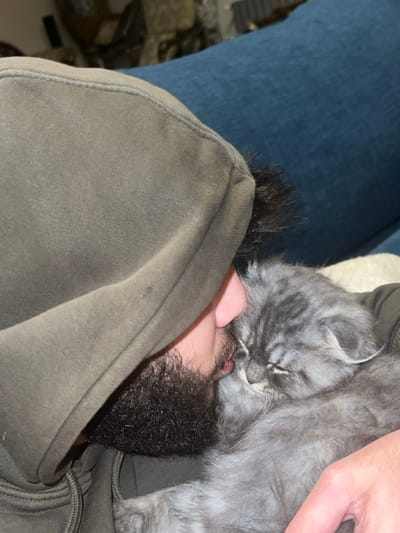 The image captures a close-up, intimate moment between a person and a cat. The person is lying down or reclining, with their head nestled into a dark olive green hooded sweatshirt or jacket. Their dark, curly hair and beard are prominent, framing part of their face. A small, pinkish area, possibly their lips or tongue, is visible near their chin.

Snuggled closely against the person's face, specifically around their mouth and chin area, is a small, fluffy grey cat. The cat has distinct tabby markings, appearing as darker grey stripes and swirls on its lighter grey fur. Its eyes are closed, indicating it is asleep or resting peacefully. Its head is pressed gently against the person's face, suggesting a strong bond and comfort. Part of the cat's soft, dense fur body is visible, extending towards the right of the frame.

In the upper left background, a section of blue fabric, possibly jeans or a blanket, can be seen. A lighter, almost white or cream-colored surface is visible behind the cat's back and the person's head, possibly part of a couch or bedding. The lighting appears to be indoor and somewhat subdued, contributing to the cozy and peaceful atmosphere. The overall scene evokes feelings of warmth, affection, and companionship between the person and their pet. No text is visible in the image.
