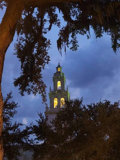 A tower, possibly a bell tower, is illuminated from within and stands against a twilight sky with dark, dramatic clouds. The tower features arched windows with warm lighting visible through them and is topped with a spire. The tower is framed by the dark silhouettes of tree branches, some of which are adorned with Spanish moss, creating a natural, organic border around the architectural element. The foreground on the left shows the textured bark of a large tree trunk, also in silhouette. The overall impression is one of a serene evening scene, with the tower's light offering a beacon of warmth against the darkening sky and the surrounding natural elements. The image appears to be taken in the city of Winter Park, United States of America.