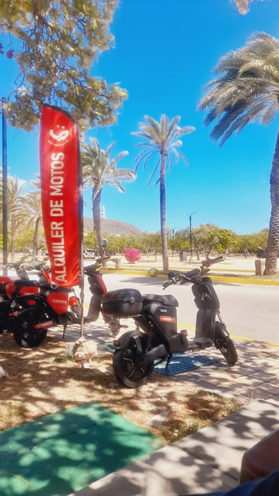 The image captures a sunny outdoor scene with a focus on several parked electric scooters and a tall, red "ALQUILER DE MOTOS" (Motorcycle Rental) banner. The scooters are black and red, with some featuring storage compartments. They are positioned on a paved area shaded by trees, with dry grass and some green matting visible on the ground. In the background, palm trees and other lush foliage are abundant, characteristic of a tropical or subtropical climate. Beyond the trees, a bright blue sky dominates the upper portion of the image. A lighthouse with red and white stripes is visible on a distant hill, suggesting a coastal or near-coastal location. A white vehicle is also parked further in the background, near the base of the hill. The overall impression is one of a rental service in a scenic, possibly tourist-oriented area. The location is identified as the city of Pedro González, Venezuela.