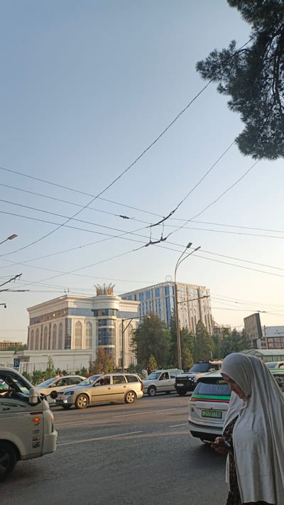 The media file captures a street scene in Dushanbe, Tajikistan, during daylight. The foreground features a traffic intersection with several vehicles, including a white van on the left and a silver station wagon in the center. A woman in a light-colored hijab and a patterned dress is visible on the right, looking down at her phone. She appears to be walking or waiting at the intersection.
In the background, two modern buildings stand out. The one on the left is a white structure adorned with ornate patterns and a crown-like emblem on its roof. The building on the right is taller and features a glass facade. Several trees are interspersed between the buildings and along the street. Overhead, a network of wires, likely for power or public transportation, crisscrosses the sky. The sky is clear and pale blue, suggesting a sunny but not overly bright day, possibly late afternoon or early morning due to the soft lighting.
The overall impression is of a bustling urban environment with a blend of traditional and modern architecture. The presence of cars and pedestrians indicates everyday activity. No specific event is evident, but the scene conveys a sense of normalcy and daily life in the city. The license plate of the white SUV in the middle is visible and reads "F 2173TT 10". The time of day appears to be afternoon.