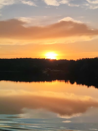 The image captures a serene sunset over a body of water in Terekhovo, Russia. The sun, a bright orange orb, is low on the horizon, casting a warm glow across the sky and reflecting vividly on the calm water. The sky is a gradient of soft blues, oranges, and pinks, with scattered clouds tinged by the setting sun. Silhouetted against the vibrant sky is a dense line of dark trees forming the treeline along the far bank of the water. The water itself is a mirror, perfectly reflecting the colors of the sky and the dark treeline, creating a symmetrical and peaceful scene. There are no people or animals visible in the image. The overall atmosphere is tranquil and picturesque.