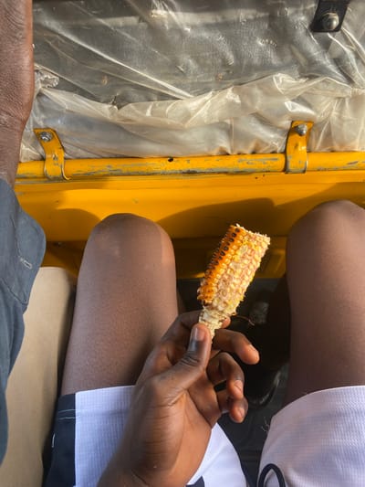 The image depicts a close-up, overhead view of a person holding a partially eaten cob of corn. The person's dark-skinned hand and arm are visible, along with their legs, which are clad in shorts. The person is seated, indicated by the presence of their legs and the surrounding environment.

The environment appears to be the interior of a vehicle, likely a form of public transportation common in Kuson, Nigeria, such as a "Keke Napep" (a motorized tricycle used as a taxi). This is suggested by the presence of yellow metal bars, a common structural element in these vehicles, and a plastic sheeting lining the interior, which serves to protect passengers from the elements. The yellow bars are worn and show signs of rust, indicating age and use. The plastic sheeting is wrinkled and somewhat translucent, obscuring the view of what is behind it.

The corn cob itself is charred and shows signs of being eaten. The kernels are golden yellow and white, with some appearing to have been removed or chewed. The person's fingers are gripping the cob, with the thumb positioned at the base of the edible portion.

The overall lighting suggests an outdoor setting, possibly during daylight hours, given the shadows cast on the yellow bars and the illumination of the subjects. The focus is primarily on the corn cob and the person's hand, with the background blurred.