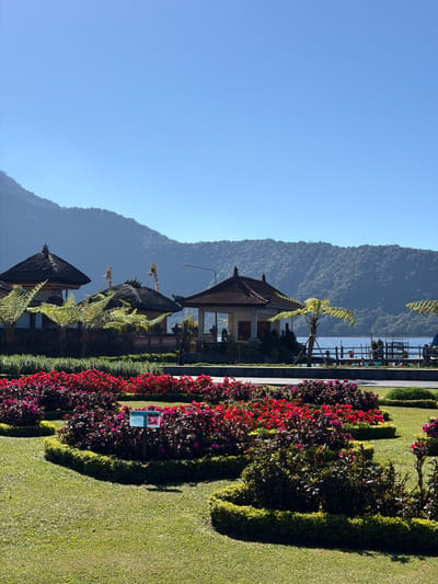 This is a medium shot, taken from a slightly elevated angle, of a scenic outdoor area with a clear blue sky above. In the foreground, manicured green grass is punctuated by heart-shaped garden beds filled with vibrant red and pink flowers. A small sign with text and an image of pink flowers is placed in one of the flower beds. Behind the flowers, a paved walkway runs horizontally across the image, separating the garden from traditional Balinese buildings with thatched roofs. These buildings have ornate architectural details and are surrounded by lush greenery, including palm trees and ferns. Further in the background, a calm blue lake is visible, with a wooden pier extending into it. Beyond the lake, a densely forested mountain range dominates the horizon, its slopes covered in trees and rising towards the sky. The lighting suggests it is a sunny day, casting shadows on the grass. The location is identified as Ulun Danu Beratan Temple in Baturiti, Bali, Indonesia. There are no visible people in the image.