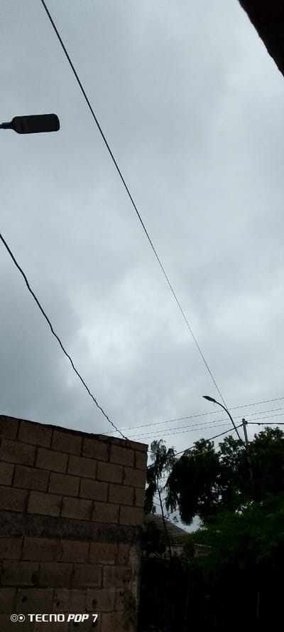 The image depicts an overcast sky with a wall constructed of light-colored bricks in the foreground on the left. A black streetlamp is mounted on a pole to the right, with several black wires crisscrossing the frame. Trees with dark green foliage are visible behind the wall and the streetlamp. The TECNO POP 7 watermark is present in the bottom left corner. The image appears to be taken in Altagracia, Venezuela, though no specific details of the city are discernible from the scene itself.