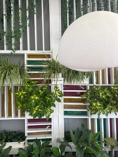 The image depicts an indoor vertical garden arrangement. The background features a white slatted wooden structure with alternating colored glass panels in shades of yellow, green, and purple. Hanging from the top of the structure are artificial green vines. Several potted plants are arranged within the compartments of the wooden structure. In the foreground, there are lush green plants, including what appears to be a peace lily with white flowers. To the right, a large, textured white sphere, likely a lampshade, partially obscures the upper right portion of the scene. The lighting suggests an indoor setting, possibly a cafe or restaurant, given the decorative arrangement. There are no people visible in the image. The location is identified as Odesa, Ukraine, though this specific setting within the city is not visually discernible from the image alone.