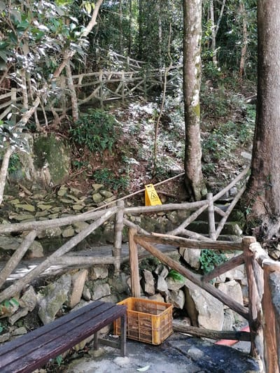 The image depicts a winding pathway in a forested area, likely in Da Lat, Vietnam, given the rustic wooden railings and lush vegetation. The path, made of stone steps, ascends through dense foliage and is bordered by a rough-hewn wooden fence. Sunlight filters through the trees, casting dappled shadows on the ground. A yellow "wet floor" sign is placed near a section of the stairs. In the foreground, a dark wooden bench sits beside an orange plastic crate. The environment appears natural and somewhat untamed, suggesting a park or a hiking trail.
