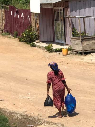 This image depicts an outdoor scene in Ngleshi Amanfro, Ghana, under bright daylight. A female individual, observed from behind, walks right of center on an unpaved, light-brown dirt path, moving away from the camera. She wears a red patterned long dress with ruffled sleeves, a blue and black patterned headscarf, and light-colored sandals. She carries a black plastic bag in her left hand and a blue plastic bag, containing translucent objects, in her right hand. The path exhibits minor debris.
To the left of the path, a corrugated reddish-brown metal fence adjoins a concrete column, with green shrubs and small yellow flowers growing at its base. Denser green vegetation is visible further left, above the fence line. To the right, a building with light purple corrugated metal siding features a white-framed glass door adorned with multiple decals. A yellow bucket holding a white pole stands upright on a concrete step in front of the door. Adjacent to the building on the right is a rustic, unfinished wooden market stall structure with a simple roof frame. Small clusters of yellow flowers are also present along the building's foundation and near the wooden stall. The scene is brightly illuminated, casting distinct shadows.