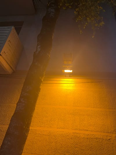 An upward-angled medium shot captures a tree trunk leaning against a textured, yellow-lit wall. A street light is mounted on the wall, casting a bright orange glow that illuminates the scene. The tree trunk is dark and rough, with some lighter patches, suggesting a dry, possibly wintery condition. Above the wall, a dark, hazy sky is visible, with a few yellow-green leaves hanging from a tree branch in the upper right corner. To the left, part of a light-colored, slatted structure is visible, possibly a window covering or a part of a building. The overall atmosphere is nocturnal and somewhat eerie due to the strong artificial lighting. The image does not contain any people or explicit details that would definitively place it in Vitsebsk, Belarus.