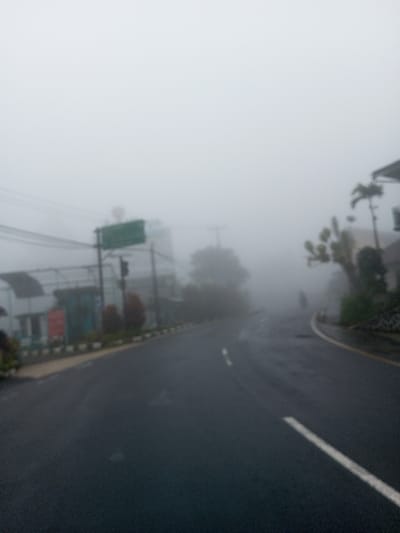 This image depicts a fog-laden street scene in Neerveli, Sri Lanka. Dense, white fog significantly reduces visibility, obscuring the horizon and rendering distant objects indistinct. The foreground features a dark, wet asphalt road that curves gently to the right. A continuous white line marks the right edge of the visible road, and a broken white center line is faintly discernible.
On the left side of the road, a curb is lined with alternating dark and light bollards or blocks. Behind this, low-lying reddish-brown shrubs and green foliage are present. Further back, utility poles with multiple overhead lines extend across the frame. Buildings include a structure with a white upper section and a darker lower section (possibly blue), an awning, and two indistinct red rectangular signs. A large green directional sign is mounted on a pole, with a circular red sign partially visible above it.
On the right side of the road, a yellow line borders the curb or shoulder. Beyond this, a sloped bank with visible rocks or concrete supports dense green foliage, including palm-like trees. A multi-story building with a light-colored facade is partially visible behind the trees. In the far distance, on the right side of the road, an extremely blurred, dark silhouette, consistent with a person on a motorcycle, is faintly observed moving away from the viewer. No other individuals or specific actions are clearly identifiable due to the heavy fog and image blur.