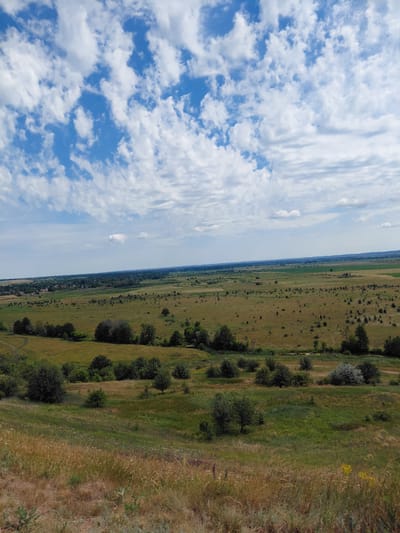 The image depicts a vast, open landscape under a partly cloudy sky. The foreground features a grassy hillside covered in dry, golden-brown grasses and scattered green plants. As the view extends into the middle ground, the terrain flattens into rolling fields with patches of green and brown. Numerous small trees and bushes are dotted across this expanse, with a line of denser trees forming a gentle curve to the left. In the distance, a village or town is visible, characterized by scattered buildings and more trees. The horizon is marked by a thin line of trees and a hazy, flat landscape stretching out towards the edge of the frame. The sky is a vibrant blue, populated by numerous white, wispy clouds. The overall impression is one of a rural, undeveloped area, potentially on the outskirts of a settlement.
