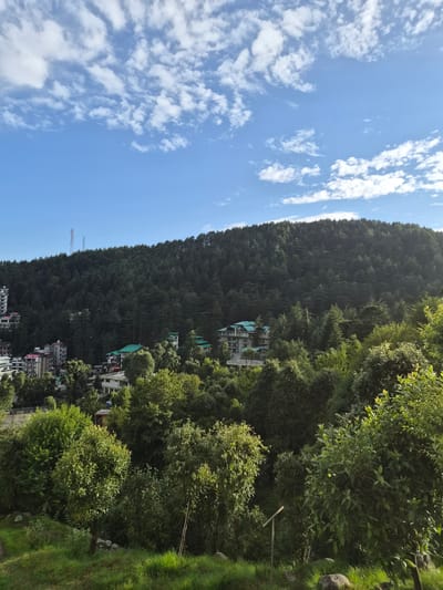 The image captures a view of Bhagsu, India, characterized by a dense forest covering a hillside. In the foreground, lush green grass and various trees dominate the scene. Several buildings, some with red and green roofs, are visible nestled amongst the trees on the lower slopes of the hill. The upper part of the hill is densely covered with coniferous trees, creating a dark green carpet. Two tall antenna towers are present on the crest of the hill. The sky above is a clear blue, dotted with scattered white clouds. The overall impression is of a serene, natural landscape integrated with human habitation.