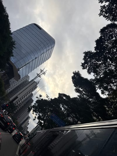The image captures an urban scene in São Paulo, Brazil. A modern, curved-glass skyscraper dominates the left side of the frame, juxtaposed with older, rectangular buildings in the background. Street-level elements include trees, power lines, street signs pointing towards "Hosp. Sta. Catarina" and "Pronto Socorro," and traffic comprised mainly of dark-colored cars. The sky is overcast, and the angle suggests the photograph was taken from a vehicle. Overall, the scene depicts a typical day in a densely populated area with mixed architectural styles and vehicular traffic.