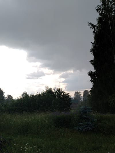 The image shows a landscape scene, likely in Nizhnyaya Gar', Russia, with a dark, overcast sky indicating rain or a storm. In the foreground, there is a field of tall green grass and wildflowers. A small blue spruce tree is visible in the middle ground, surrounded by denser foliage. Behind the field, a line of trees forms a dark green border, with a glimpse of a house with a green roof and some distant trees further back. On the right side of the image, a tall, dark tree, possibly a birch, dominates the frame against the cloudy sky. The rain is visible as streaks in the air, suggesting it is actively raining at the time the photograph was taken. There are no people or animals visible in the scene.