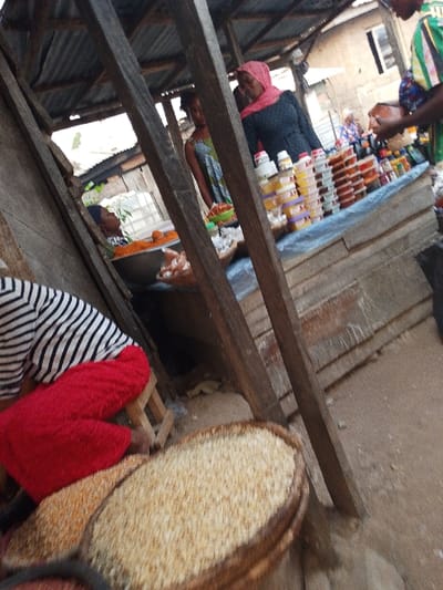 This image depicts a bustling outdoor market scene in Zango-ndaji, Nigeria. The setting is a simple market stall constructed with rough wooden posts and a corrugated metal roof, casting shadows over the area.

In the foreground, a person wearing a black and white striped top and red pants is seated on a low wooden stool, their lower body and part of their torso visible. To the right, a large, round, shallow woven basket is filled with light-colored grains, likely millet or corn.

Behind the foreground, a wooden stall serves as the primary display area for goods. It is covered with a light blue cloth, upon which a variety of items are arranged for sale. Numerous small plastic containers and jars, some with red caps and others holding yellowish or orange substances (possibly spices, oils, or food items), are neatly stacked. Adjacent to these, bowls and woven baskets contain various dried goods, including distinct red/orange items in a green bowl, suggesting peppers or spices, and other grains.

Several individuals, mostly women, are present around the stall. In the mid-ground, a woman wearing a dark top and a pink headscarf stands behind the display. Beside her, another woman in a patterned green and brown dress is also positioned behind the stall. Further to the left, partially obscured by a wooden post, a person with a dark head covering is seated behind the goods, looking towards the left. To the far right, another person wearing a green and yellow striped top is partially visible, appearing to be engaged in handling goods or assisting customers.

The background reveals simple residential buildings, characteristic of a local community. The ground underfoot appears to be dirt or sand. The ambient light suggests it is daytime, possibly late morning or afternoon. The overall scene captures the typical daily activity of a vibrant local market. No visible text is present in the image.