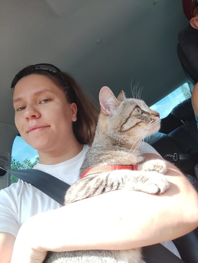 A woman is holding a cat inside a car. The woman is wearing a white t-shirt and a seatbelt. The cat is wearing a red harness. They are likely in Gremyachinsk, Russia.
