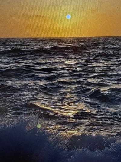 The image shows a close-up of a tree trunk, possibly driftwood, next to a surface that is likely a textured wall. The colors are muted, with dark gray/brown dominating the trunk area, a brown/yellow textured wall.
The image location is unknown.